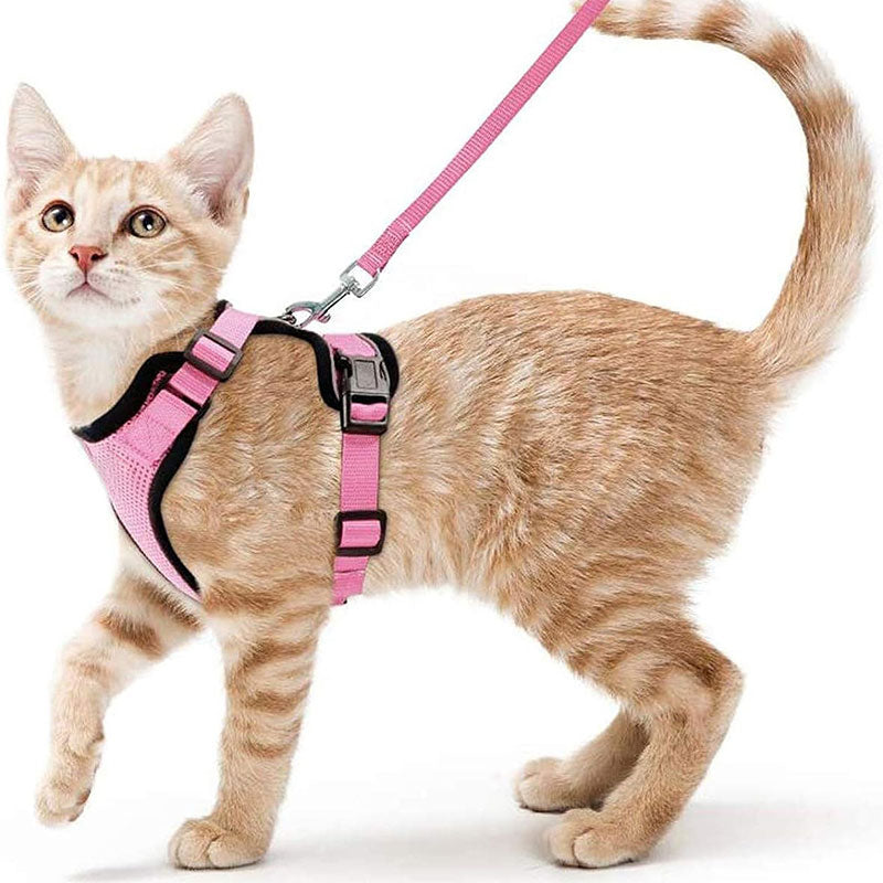 Cat Harness and Leash with Easy Control, Escape-Proof - Soft Adjustable Vest Harness for Walking Cats.