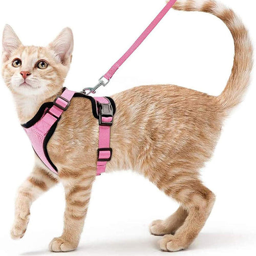 Cat Harness and Leash with Easy Control, Escape-Proof - Soft Adjustable Vest Harness for Walking Cats.