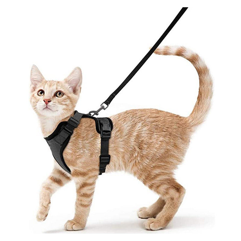 Cat Harness and Leash with Easy Control, Escape-Proof - Soft Adjustable Vest Harness for Walking Cats.
