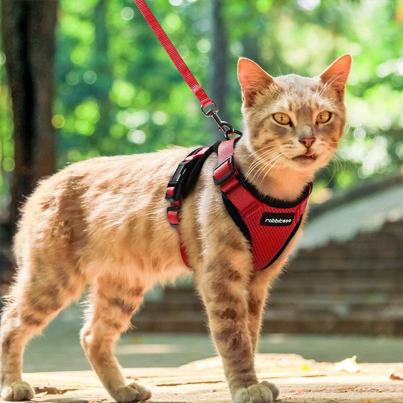 Cat Harness and Leash with Easy Control, Escape-Proof - Soft Adjustable Vest Harness for Walking Cats.